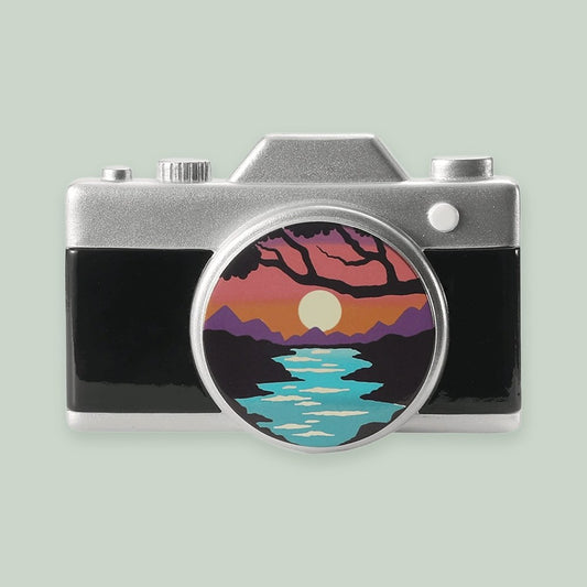 Photography Camera ornament on a sage green background