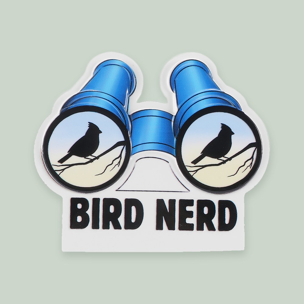 Birding ornament on a sage green background