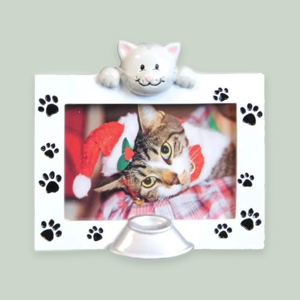 Cat Photo Frame ornament on a sage green background